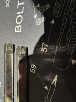 IMG_3337.jpeg