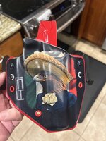 IMG_9920.jpeg
