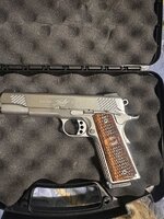 Kimber stainless raptor