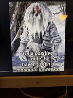 IMG_2471.jpg