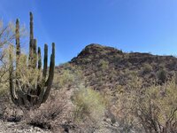 IMG_6037.jpeg