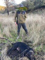 IMG_4989.jpeg
