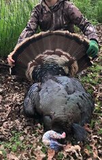 IMG_2128.jpeg