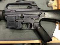 IMG_6083.jpeg