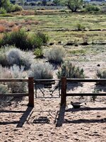 20250404_081934[1].jpg