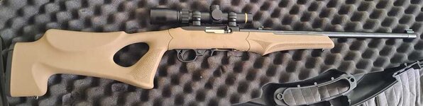 Ruger-22LR, Orange County, CA