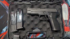 SIG Sauer P226 - Riverside