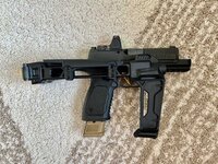 IMG_2956.jpeg
