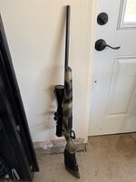 IMG_0243.jpeg