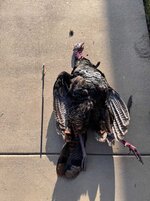 Turkey.jpg