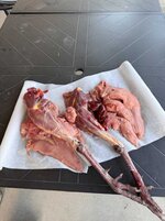 Meat.jpg