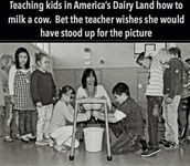 IMG_0347.png