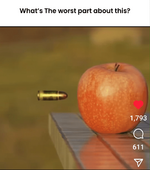 1000008466.png