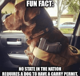 1745947402446.png