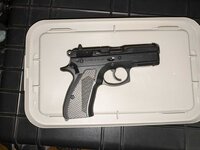 WTS: CZ P01