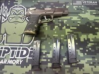 WTS - Ruger P89 - Monterey Bay