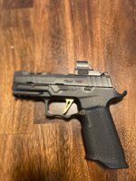 Sig 320 spectre carry  with icarus grip