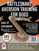 Rattlesnake Aversion Training 2025.jpg