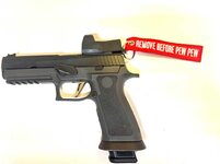 Sig SAUER XFive Legion Off Roster-Riverside