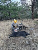 IMG_2158.jpeg