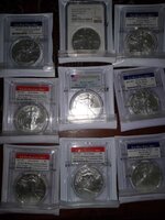 Silver Eagles. PCGS quality - South Orange County