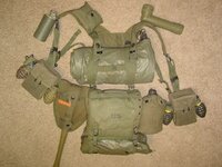 M62 Webset.JPG