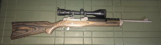 mini 14 close up.jpg