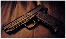 RFG-HK-USP-EXPERT-45.png
