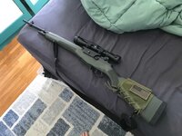 Springfield M1A - east bay