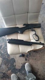 Chiappa 45-70 wild land take down