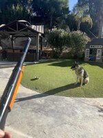 IMG_3547.jpeg