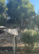 IMG_3544.jpeg