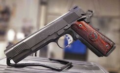 Nighthawk Predator - Pomona
