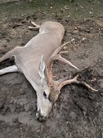 IMG_1900.jpeg