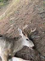 IMG_1787.jpeg