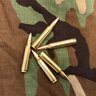 5.56Geo