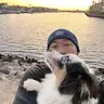 mellowguy