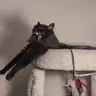 SlowMoe