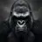 sasquatch